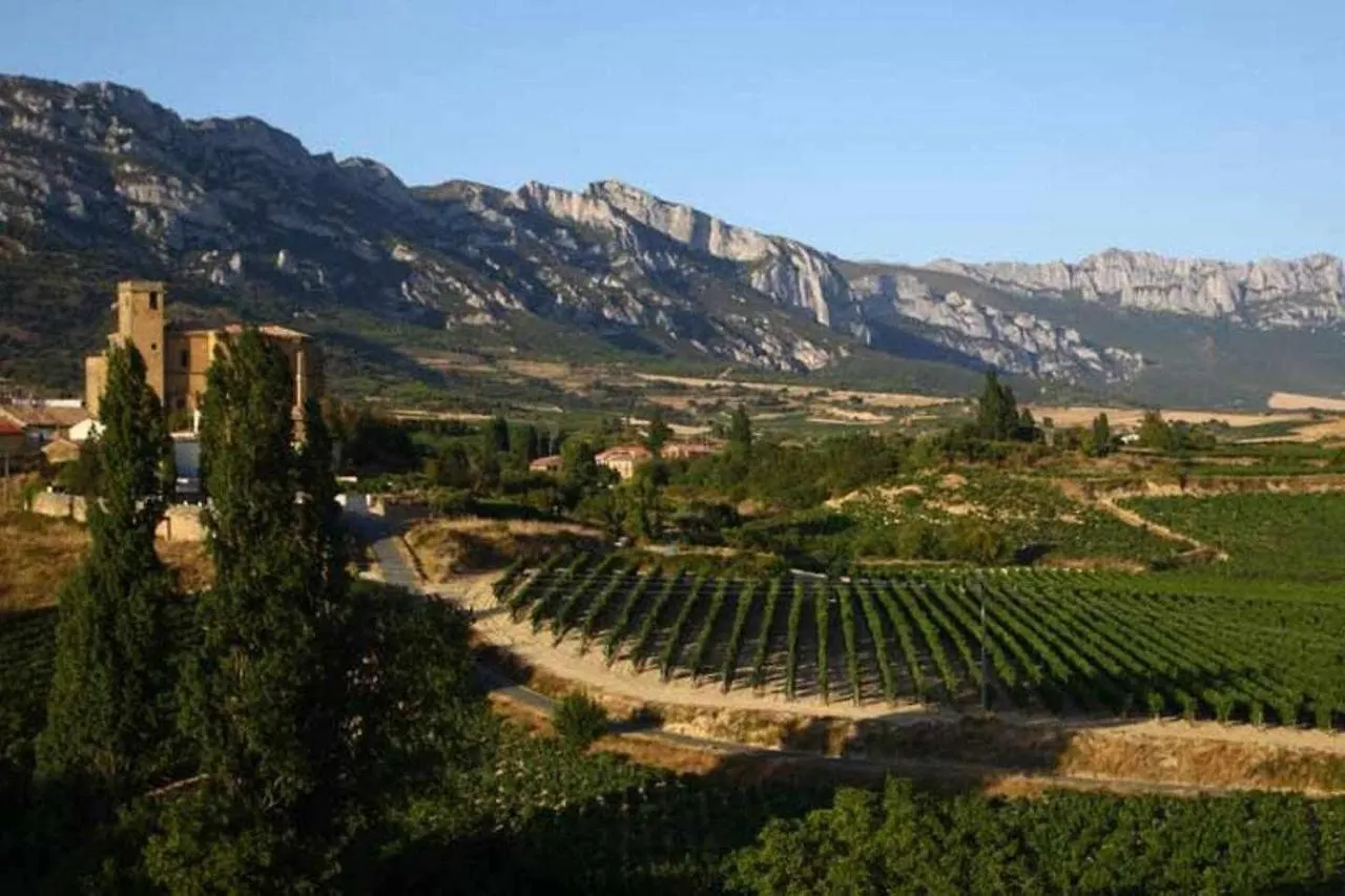Sagastienea Villa Con Piscina Y Tenis En La Rioja Саманьего